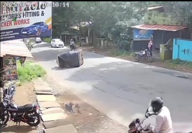 തെരുവ് നായകുറുകെച്ചാടി ഓട്ടോ ഡ്രൈവർക്ക് ദാരുണാന്ത്യം