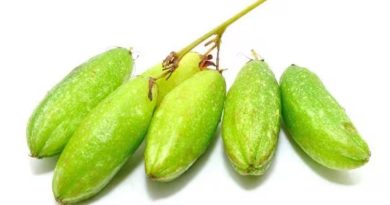 ഇരുമ്പൻ പുളി കഴിച്ചാൽ ഉണ്ടായേക്കാവുന്ന ദോഷവശങ്ങൾ