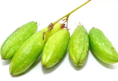 ഇരുമ്പൻ പുളി കഴിച്ചാൽ ഉണ്ടായേക്കാവുന്ന ദോഷവശങ്ങൾ