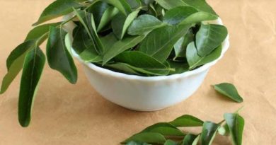 വയറു വീർക്കലും അസിഡിറ്റിയുമാണോ പ്രശ്നം? കറിവേപ്പില ഇങ്ങനെ കഴിച്ചോളൂ വയറു വീർക്കലും അസിഡിറ്റിയുമാണോ പ്രശ്നം? കറിവേപ്പില ഇങ്ങനെ കഴിച്ചോളൂ