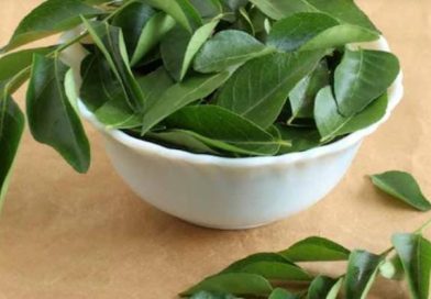 വയറു വീർക്കലും അസിഡിറ്റിയുമാണോ പ്രശ്നം? കറിവേപ്പില ഇങ്ങനെ കഴിച്ചോളൂ വയറു വീർക്കലും അസിഡിറ്റിയുമാണോ പ്രശ്നം? കറിവേപ്പില ഇങ്ങനെ കഴിച്ചോളൂ