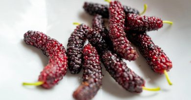 പ്രമേഹരോഗികള്‍ക്കും കഴിക്കാം, കൊളസ്‌ട്രോളില്ലെന്ന പ്രത്യേകതയും