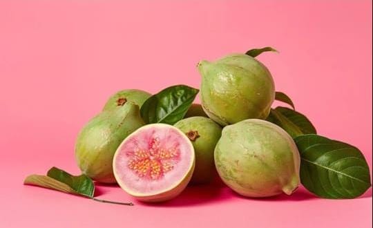 രക്തസമ്മർദവും കൊളസ്ട്രോളും കുറയ്ക്കും, ഷുഗറും നിയന്ത്രിക്കും; ഈ പഴം ഒരെണ്ണം കഴിക്കൂ രക്തസമ്മർദവും കൊളസ്ട്രോളും കുറയ്ക്കും, ഷുഗറും നിയന്ത്രിക്കും; ഈ പഴം ഒരെണ്ണം കഴിക്കൂ