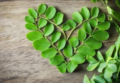 ഹൃദയാരോഗ്യവും പ്രതിരോധശേഷിയും മെച്ചപ്പെടുത്താം, ഈ ഇല ഭക്ഷണത്തിൽ ഉൾപ്പെടുത്തൂ ഹൃദയാരോഗ്യവും പ്രതിരോധശേഷിയും മെച്ചപ്പെടുത്താം, ഈ ഇല ഭക്ഷണത്തിൽ ഉൾപ്പെടുത്തൂ