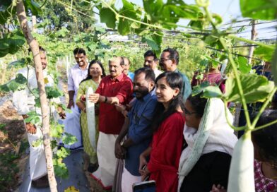 ജൈവ പച്ചക്കറി വിളവെടുപ്പ് നടത്തി