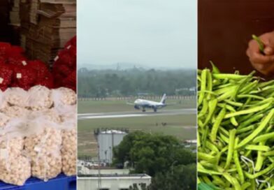 ഗള്‍ഫ് പ്രതിസന്ധി: കേരളത്തില്‍ നിന്ന് പഴം, പച്ചക്കറി കയറ്റുമതി നിലച്ചു, കോടികളുടെ നഷ്ടം