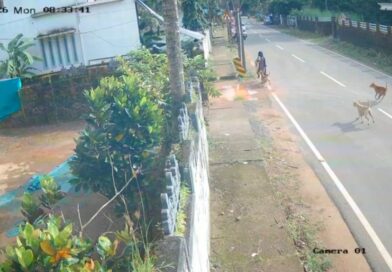 മദ്രസ വിട്ടുപോവുകയായിരുന്ന വിദ്യാർത്ഥിനിക്ക് നേരെ തെരുവ് നായ്ക്കളുടെ ആക്രമണം: ബൈക്ക് യാത്രക്കാരന്റെ സമയോചിതമായ ഇടപെടൽ രക്ഷയായി മദ്രസ വിട്ടുപോവുകയായിരുന്ന വിദ്യാർത്ഥിനിക്ക് നേരെ തെരുവ് നായ്ക്കളുടെ ആക്രമണം: ബൈക്ക് യാത്രക്കാരന്റെ സമയോചിതമായ ഇടപെടൽ രക്ഷയായി