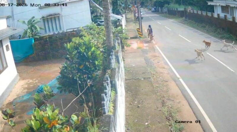മദ്രസ വിട്ടുപോവുകയായിരുന്ന വിദ്യാർത്ഥിനിക്ക് നേരെ തെരുവ് നായ്ക്കളുടെ ആക്രമണം: ബൈക്ക് യാത്രക്കാരന്റെ സമയോചിതമായ ഇടപെടൽ രക്ഷയായി മദ്രസ വിട്ടുപോവുകയായിരുന്ന വിദ്യാർത്ഥിനിക്ക് നേരെ തെരുവ് നായ്ക്കളുടെ ആക്രമണം: ബൈക്ക് യാത്രക്കാരന്റെ സമയോചിതമായ ഇടപെടൽ രക്ഷയായി