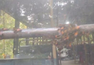 പത്തനംതിട്ട ഗവിയിൽ കെ.എസ്.ആർ.ടി.സി ബസിന് നേരെ തേനീച്ച ആക്രമണം: 59 പേർക്ക് കുത്തേറ്റു; ഒരാളുടെ നില ഗുരുതരം